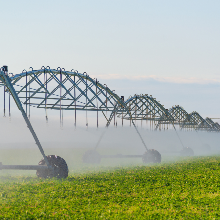 agriculture