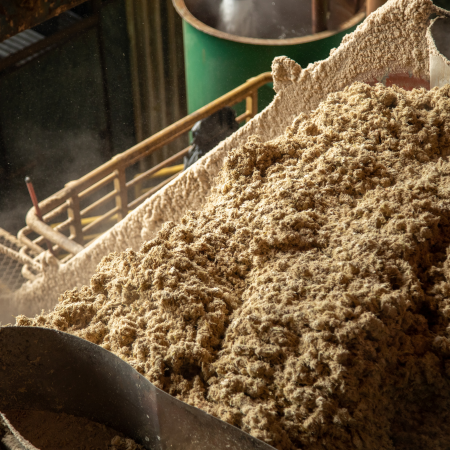 Sugar, pulp & paper